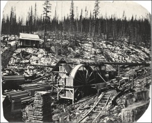 sawmill